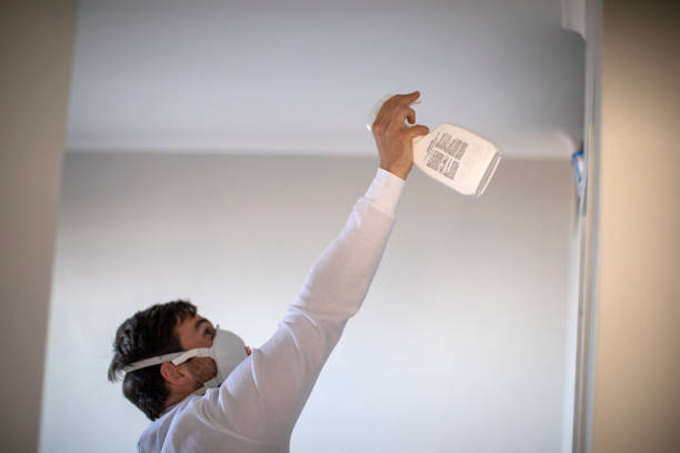Best Mold Testing  in Bethany, WV