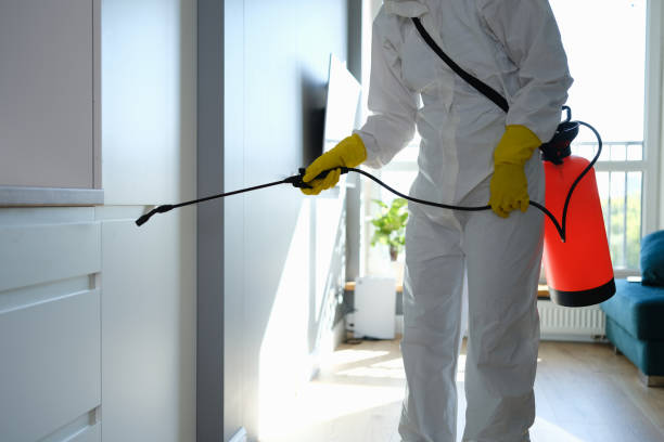 Best Attic Mold Removal  in Bethany, WV