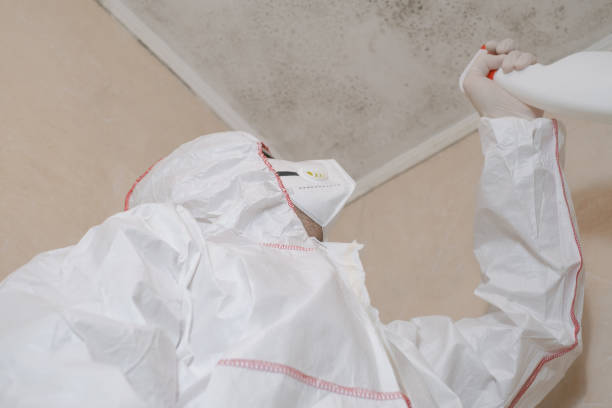 Crawl Space Mold Removal in Bethany, WV