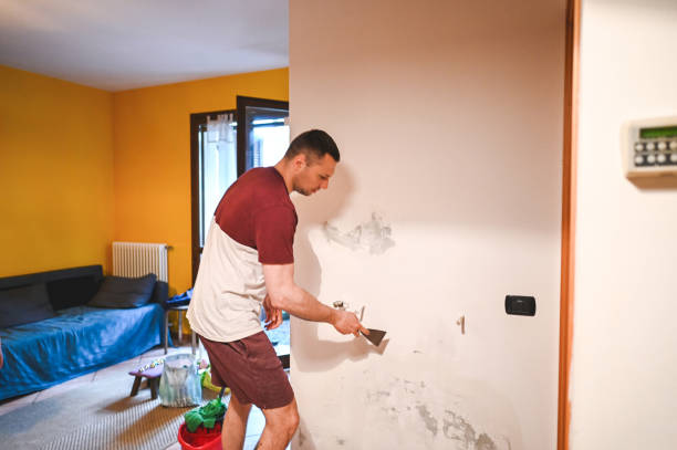 Best Black Mold Removal  in Bethany, WV